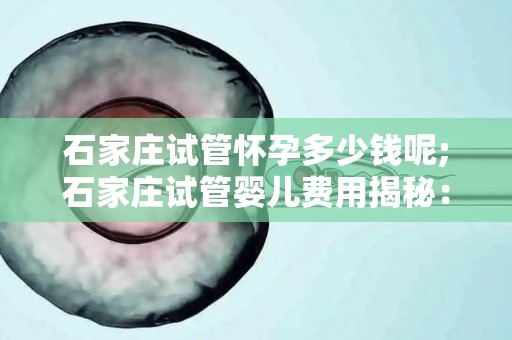 石家庄试管怀孕多少钱呢;石家庄试管婴儿费用揭秘：价格几何？