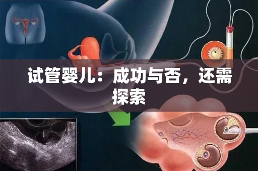 试管婴儿：成功与否，还需探索