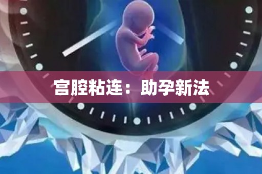 宫腔粘连:助孕新法 宫腔粘连:助孕新法