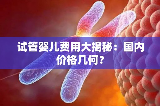 试管婴儿费用大揭秘：国内价格几何？