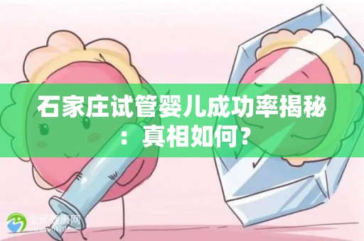 石家庄试管婴儿成功率揭秘：真相如何？