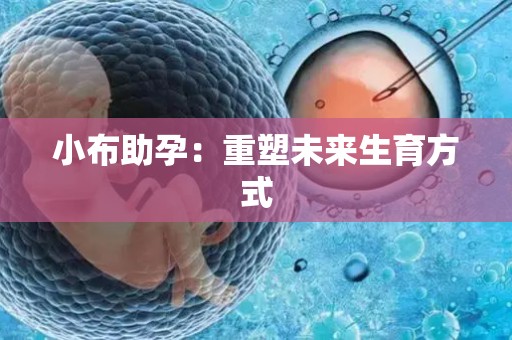 小布助孕：重塑未来生育方式