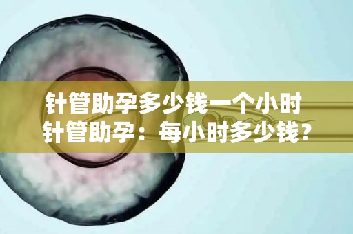 针管助孕多少钱一个小时 针管助孕：每小时多少钱？