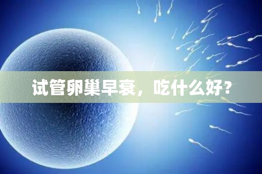 试管卵巢早衰，吃什么好？