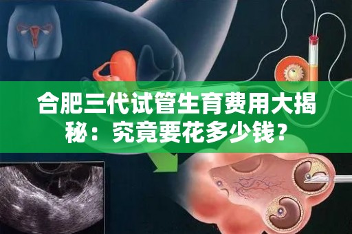 合肥三代试管生育费用大揭秘:究竟要花多少钱? 合肥三代试管生育费用大揭秘:究竟要花多少钱?