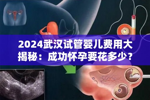 2024武汉试管婴儿费用大揭秘：成功怀孕要花多少？