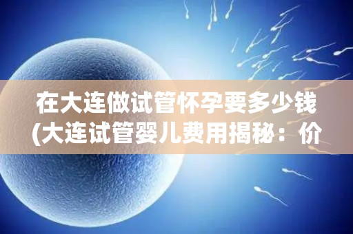 在大连做试管怀孕要多少钱(大连试管婴儿费用揭秘：价格几何？)