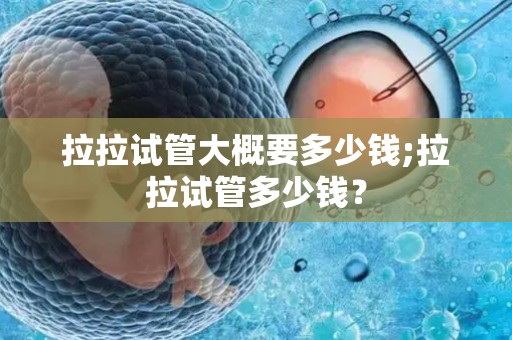 拉拉试管大概要多少钱;拉拉试管多少钱？