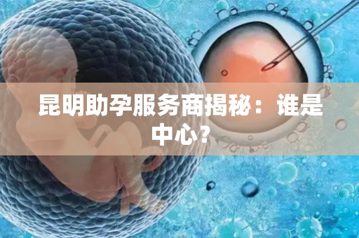 昆明助孕服务商揭秘:谁是中心? 昆明助孕服务商揭秘:谁是中心?