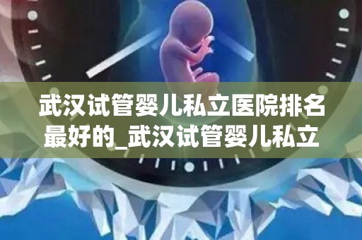 武汉试管婴儿私立医院排名最好的_武汉试管婴儿私立医院排名:哪家医院最优秀? 武汉试管婴儿私立医院排名最好的_武汉试管婴儿私立医院排名:哪家医院最优秀?