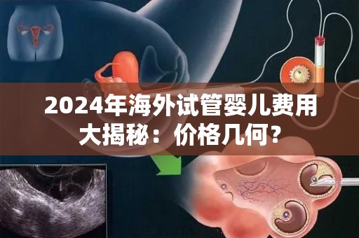2024年海外试管婴儿费用大揭秘：价格几何？