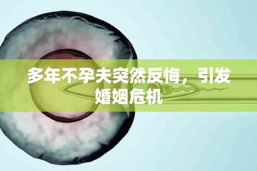 多年不孕夫突然反悔，引发婚姻危机