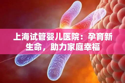 上海试管婴儿医院：孕育新生命，助力家庭幸福