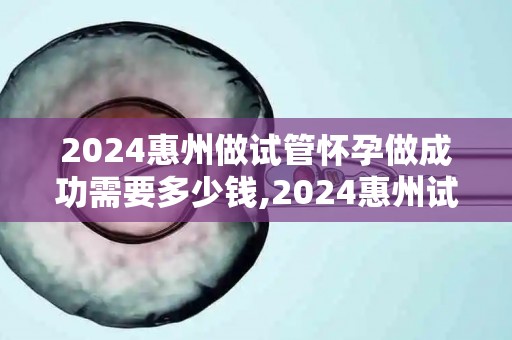 2024惠州做试管怀孕做成功需要多少钱,2024惠州试管婴儿费用大揭秘：成功怀孕要花多少钱？