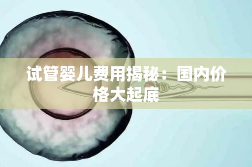 试管婴儿费用揭秘：国内价格大起底