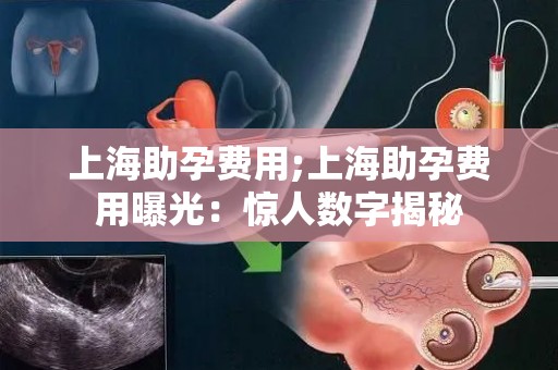 上海助孕费用;上海助孕费用曝光:惊人数字揭秘 上海助孕费用;上海助孕费用曝光:惊人数字揭秘