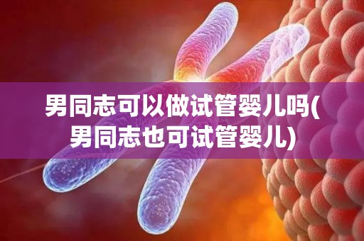 男同志可以做试管婴儿吗(男同志也可试管婴儿)