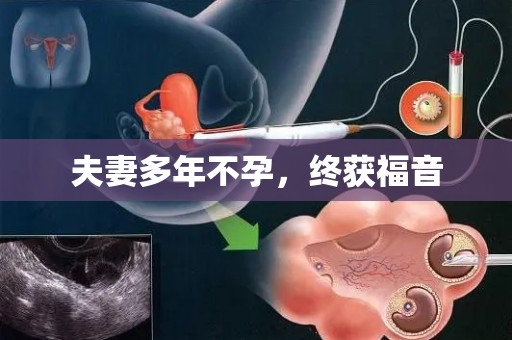 夫妻多年不孕，终获福音