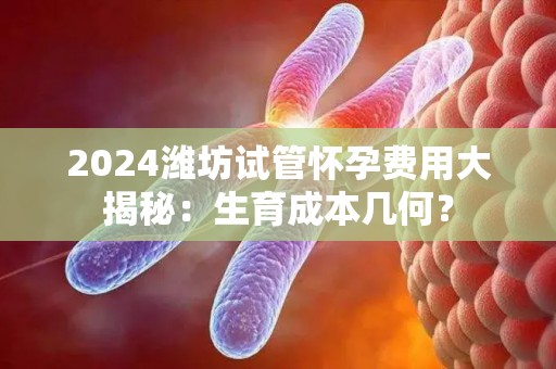 2024潍坊试管怀孕费用大揭秘:生育成本几何? 2024潍坊试管怀孕费用大揭秘:生育成本几何?