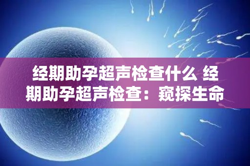 经期助孕超声检查什么 经期助孕超声检查:窥探生命奇迹 经期助孕超声检查什么 经期助孕超声检查:窥探生命奇迹