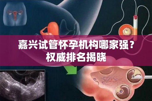 嘉兴试管怀孕机构哪家强？权威排名揭晓