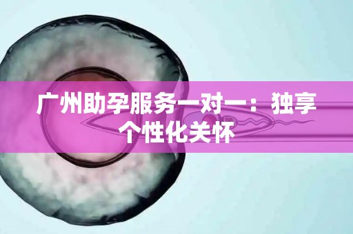广州助孕服务一对一：独享个性化关怀