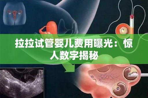 拉拉试管婴儿费用曝光:惊人数字揭秘 拉拉试管婴儿费用曝光:惊人数字揭秘