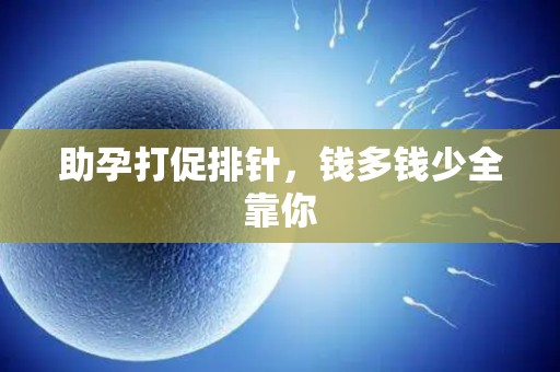 助孕打促排针,钱多钱少全靠你 助孕打促排针,钱多钱少全靠你