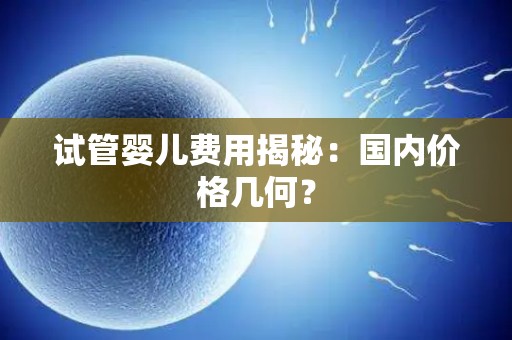 试管婴儿费用揭秘:国内价格几何? 试管婴儿费用揭秘:国内价格几何?