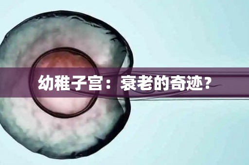 幼稚子宫：衰老的奇迹？