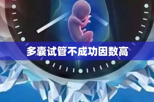 多囊试管不成功因数高 多囊试管不成功因数高