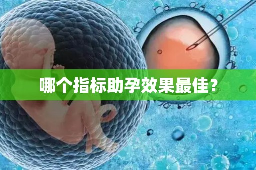 哪个指标助孕效果最佳? 哪个指标助孕效果最佳?