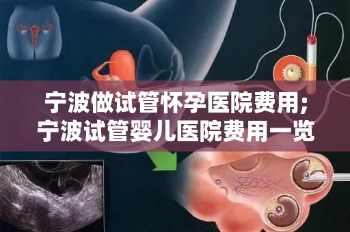 宁波做试管怀孕医院费用;宁波试管婴儿医院费用一览：价格透明化