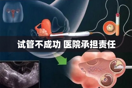 试管不成功 医院承担责任 试管不成功 医院承担责任