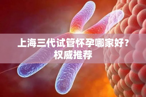 上海三代试管怀孕哪家好？权威推荐