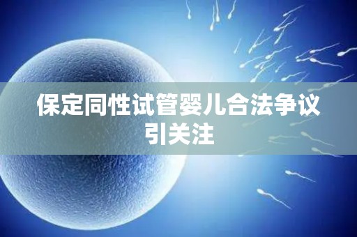保定同性试管婴儿合法争议引关注 保定同性试管婴儿合法争议引关注