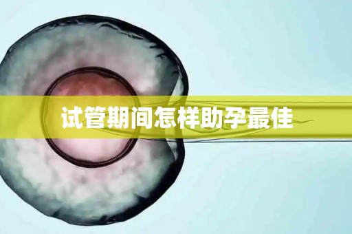 试管期间怎样助孕最佳 试管期间怎样助孕最佳