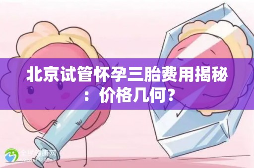 北京试管怀孕三胎费用揭秘：价格几何？