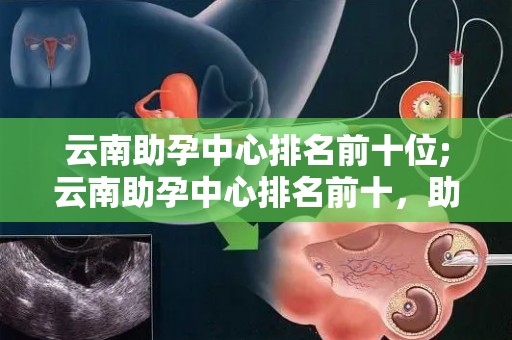 云南助孕中心排名前十位;云南助孕中心排名前十，助力幸福家庭