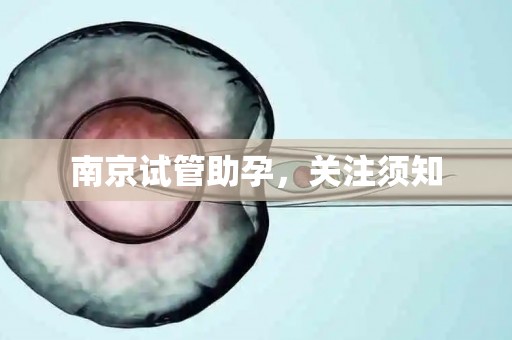 南京试管助孕，关注须知