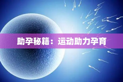助孕秘籍：运动助力孕育