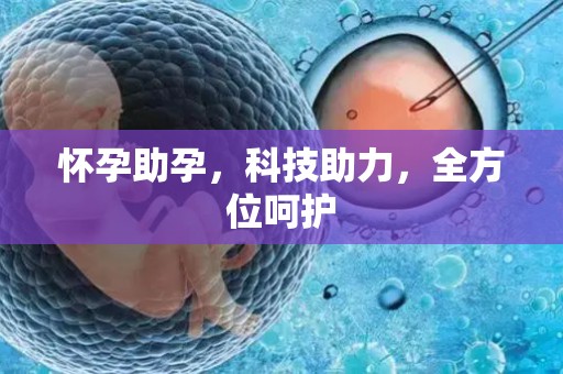 怀孕助孕，科技助力，全方位呵护