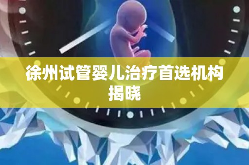 徐州试管婴儿治疗首选机构揭晓 徐州试管婴儿治疗首选机构揭晓