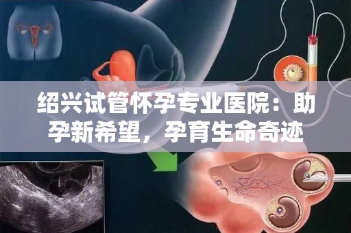 绍兴试管怀孕专业医院:助孕新希望,孕育生命奇迹 绍兴试管怀孕专业医院:助孕新希望,孕育生命奇迹