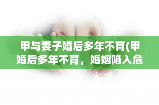 甲与妻子婚后多年不育(甲婚后多年不育，婚姻陷入危机)
