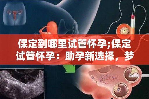 保定到哪里试管怀孕;保定试管怀孕：助孕新选择，梦想成真之路