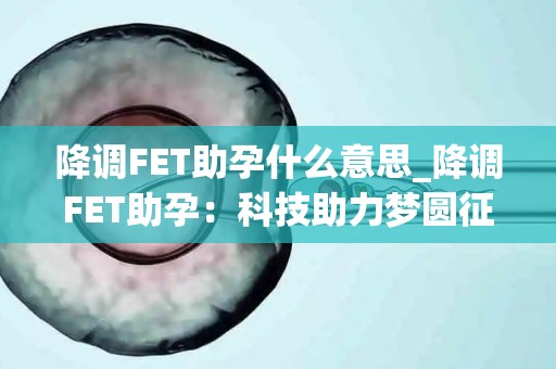 降调FET助孕什么意思_降调FET助孕：科技助力梦圆征程