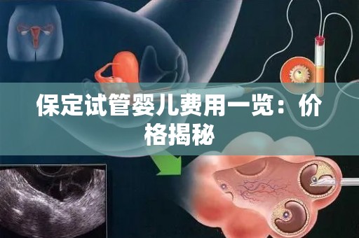 保定试管婴儿费用一览：价格揭秘