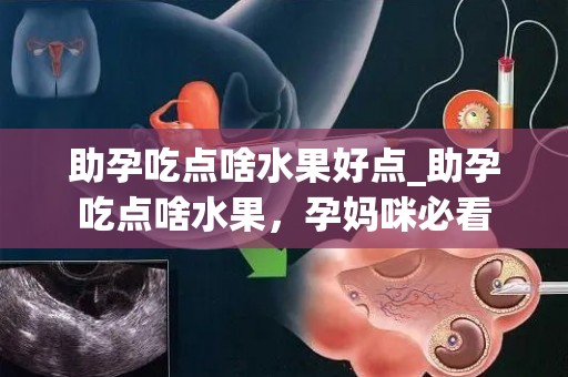 助孕吃点啥水果好点_助孕吃点啥水果，孕妈咪必看