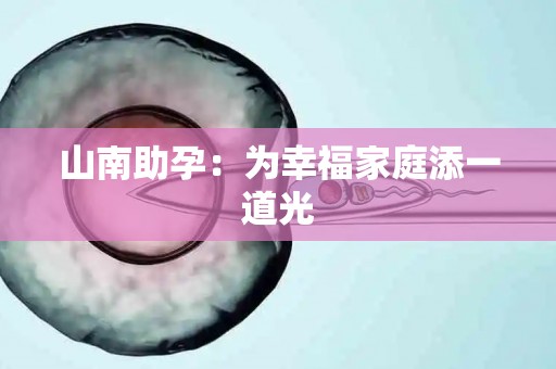 山南助孕：为幸福家庭添一道光